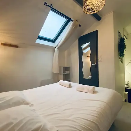 Joli Duplex - Centre - Amazonie Apartment Angers