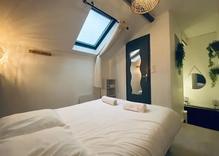 Joli Duplex - Centre - Amazonie Apartamento Angers