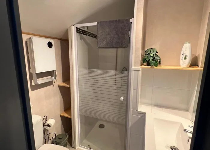 Apartamento Joli Duplex - Centre - Amazonie *