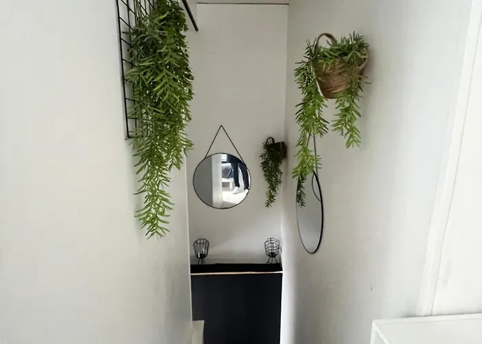 Joli Duplex - Centre - Amazonie Daire Angers