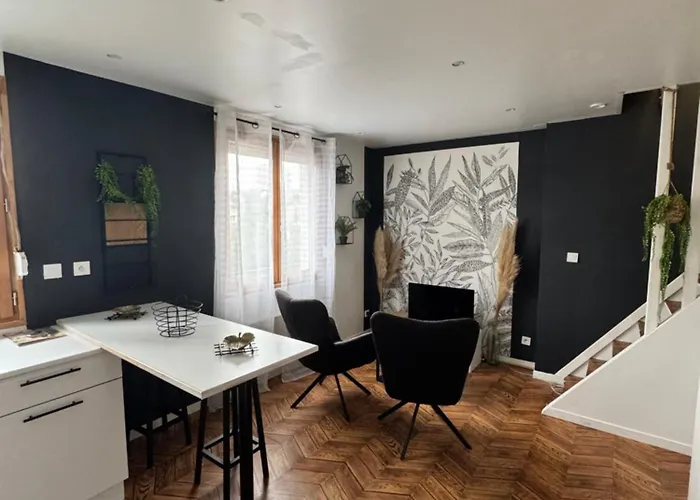 Appartamento Joli Duplex - Centre - Amazonie *